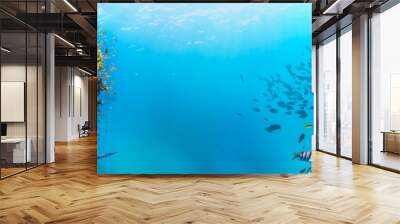 Underwater Tropical Corals Reef with colorful sea fish. Marine life sea world. Tropical colourful underwater seascape. Wall mural