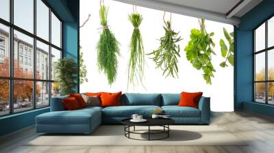 various herbs Wall mural