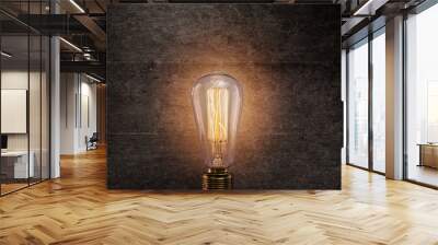 Vintage Edison light bulb on dark background. Wall mural