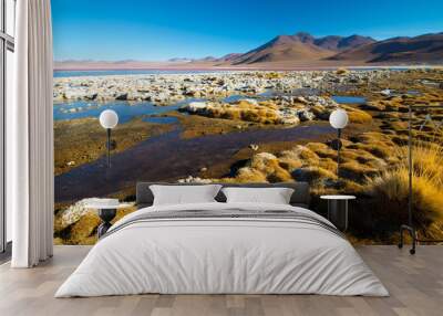 Laguna Colorada - red water lagoon. Bolivia. South America Wall mural