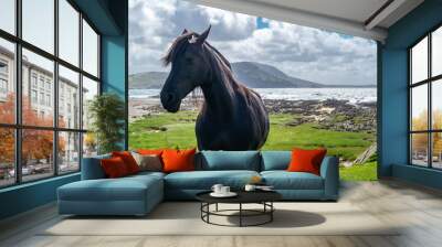 Irish Countryside view with black horse in County Donegal Wall mural