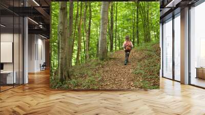 young boy with backpack hiking alone on trail in the green spring forest Wall mural