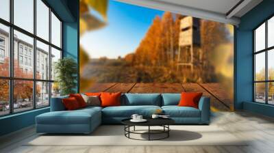 Empty table for product presentation. Nature background. Wall mural