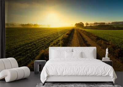 The morning field. Fog above the ground. Beautiful landscape. Wall mural