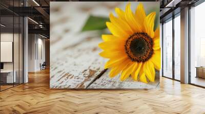 Close up of lovely yellow sunflower on pale wooden backdrop Wall mural