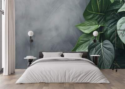 Close up syngonium houseplant leaves propped up by bamboo on textured gray background Nature and plants banner with space for text Home garden concept Wall mural