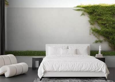 Green grass and white wall in a garden against a white backdrop Wall mural