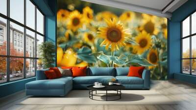 Sunflower Field in Summer Photograph Wall mural