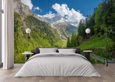 view on swiss alps and spring meadow with wooden hut in Switzerland Wall mural