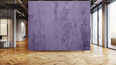 Venetian decorative plaster Wall mural