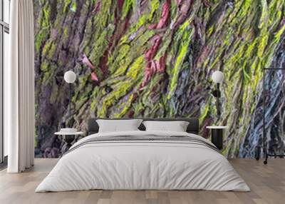 Green lichen covered bark of a tree trunk Wall mural