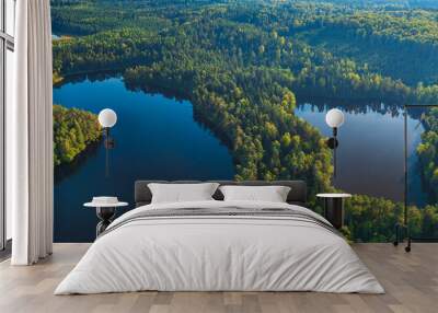 Aerial view of wild forest lake in Lithuania Wall mural