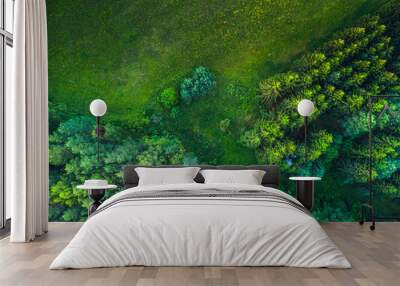 Summer warm sun light forest aerial view with green field Wall mural