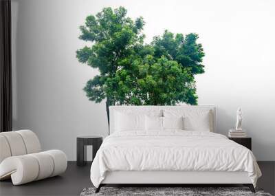 Tree isolated on white background Wall mural