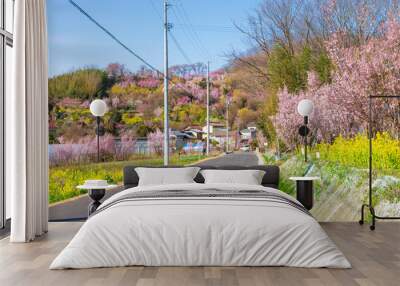 Cherry-blossom trees (Sakura) and many kinds of flowers in Hanamiyama  park in Fukushima, Tohoku area, Japan. The park is very famous Sakura view spot Wall mural