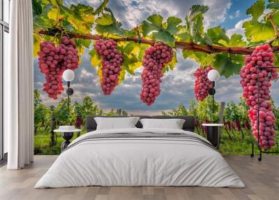 Stunning rural vineyard scene with lush green vines laden with ripe juicy grapes set against a backdrop of bright blue skies and clouds  A peaceful Wall mural