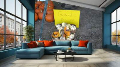 Gourds Colorful Pumpkins Wall mural