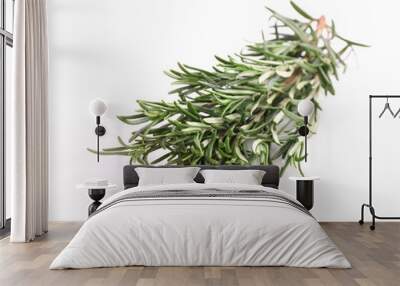 Fresh green rosemary sprigs isolated on a white background Wall mural