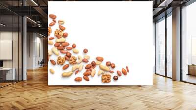 Mix of dry nuts isolated on white Wall mural