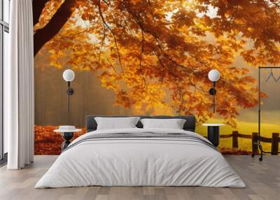 Red autumn foliage explodes in a row of trees on a country lane on a sunny fall day Wall mural