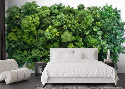 Lush Vertical Garden Green Wall - Isolated on White Transparent Background, PNG
 Wall mural