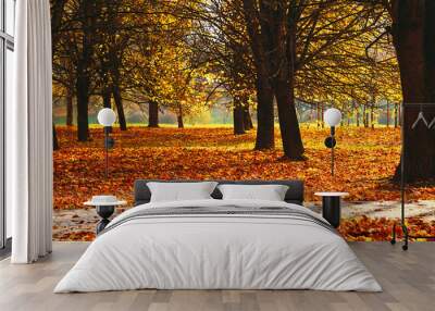 Beautiful Nature Autumn landscape on Sunny day Wall mural