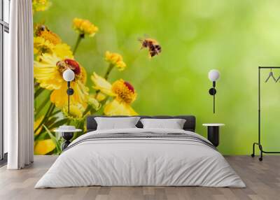 nature summer background with bee collects nectar Wall mural