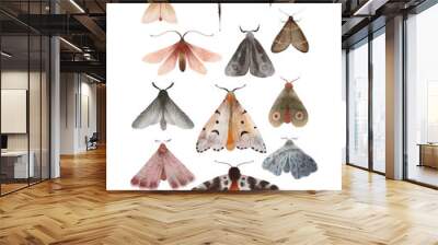 Moth and butterfly watercolor hand painted set of illustrations. Insects, moths - collection of isolated elements Wall mural