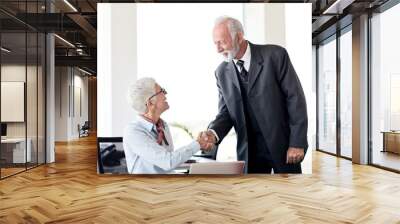 business man woman office work hand shaking meeting agreement Wall mural