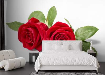 flower rose petal blossom red nature beautiful background Wall mural