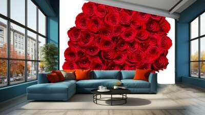 flower rose petal blossom red nature beautiful background Wall mural