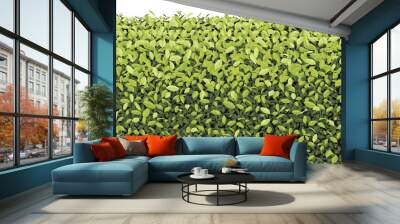 Green Tree Wall on isolated Vector Wall mural