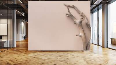 Mockup with two dry branches on beige background Wall mural