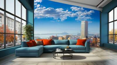 Alicante cityscape skyline in mediterranean sea Wall mural