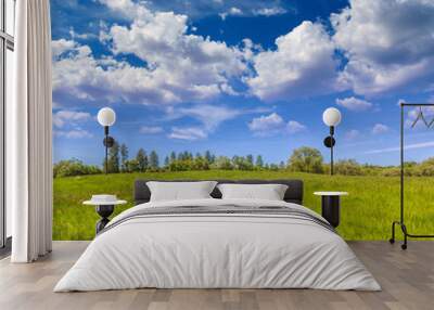 california meadow ranch in a blue sky spring day Wall mural