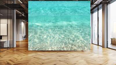 caribbean tropical beach clear turquoise water Wall mural