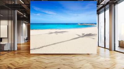 Els Pujols Formentera white sand turquoise beach Wall mural