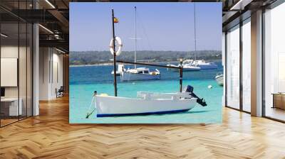 estany des peix in Formentera lake anchor boats Wall mural