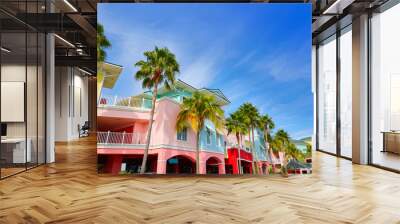 Florida Fort Myers colorful palm trees facades Wall mural