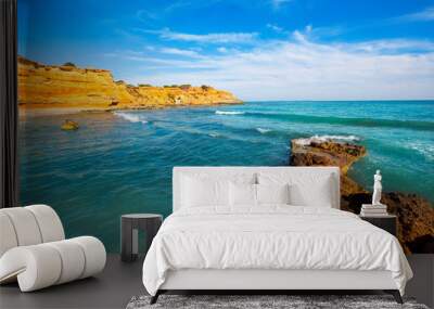 Ibiza island Platja Es bol Nou beach Ses Salines Wall mural