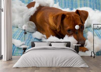 naughty playful puppy dog after biting a pillow Wall mural