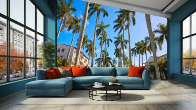 Palm Beach royal Palm Way Florida US Wall mural