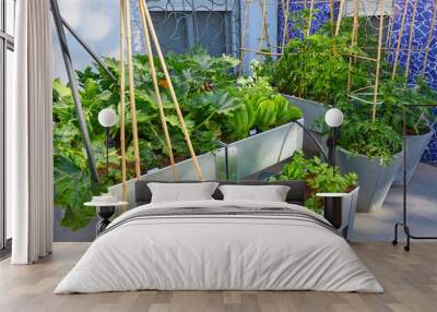 Raised bed orchard urban garden Wall mural