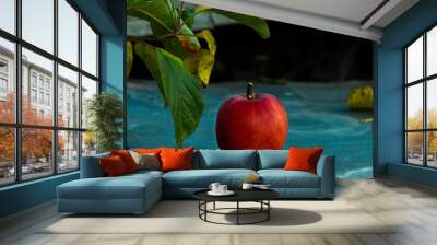 Red Apple laid out on a metallic floor Wall mural