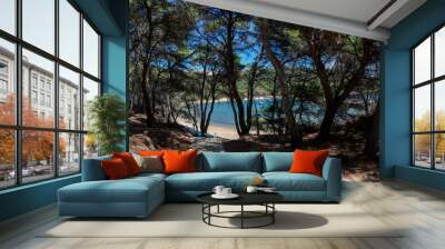 panoramic view forest on Limuni Beach on island Mljet, Croatia Wall mural