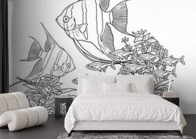 Aquarium with angelfish for coloring. Pterophyllum fish and neon tetra templates. Coloring book for children and adults. Wall mural