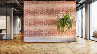 old Texture brick wall background with plant - copy space. Wall mural