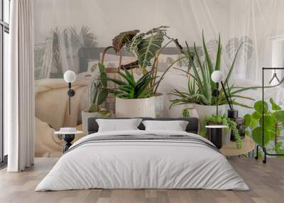 Bright white bedroom filled with numerous houseplants and flooded in natural light Wall mural