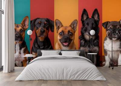 a group of dogs sitting in front of a colorful wall Wall mural