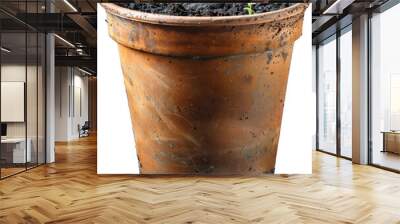 pot with a plant in it on a white background Wall mural